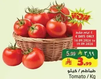 طماطم / كيلو