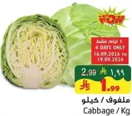 ملفوف / كيلوجرام