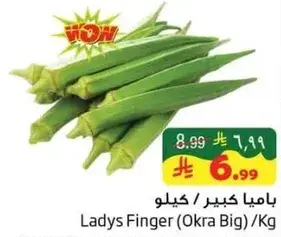 باميه كبيره / كيلوجرام