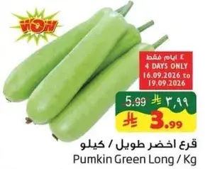 قرع اخضر طويل / كيلوجرام