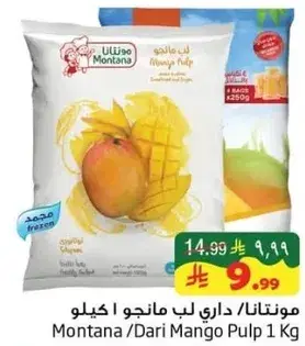 Montana Mango Pulp 1 Kg