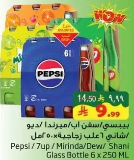 Pepsi/7up/Mirinda/Dew/Shani Glass Bottle 6 x 250 ML