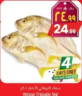 سمك التريفالي الاصفر 1 كج