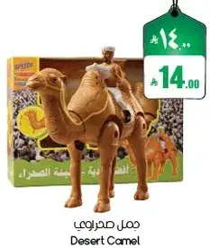 Desert Camel
