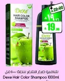 شامبو صبغ الشعر 1000 مل