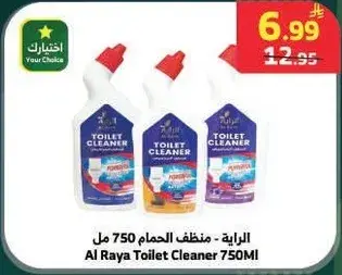 Al Raya Toilet Cleaner 750ml