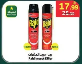 Raid Insect Killer