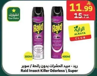 Raid Insect Killer Odorless Super