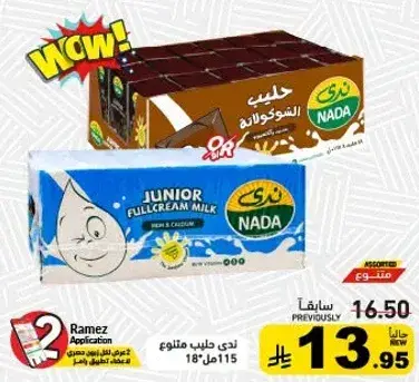 Nada Junior Full Cream Milk 1L