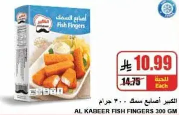 الكبير اصابع سمك 300 جرام