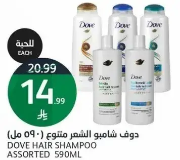 Dove Hair Shampoo Assorted 590ml