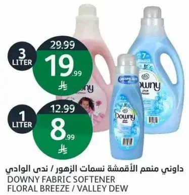 Downy fabric softener floral breeze/valley dew 3L