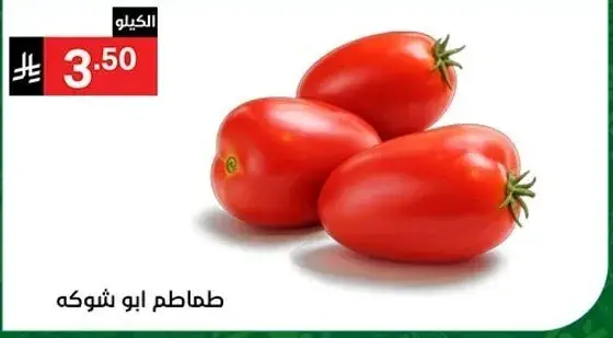 Tomatoes Abu Shokh, fresh and ripe.