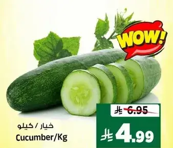 خيار / كيلو