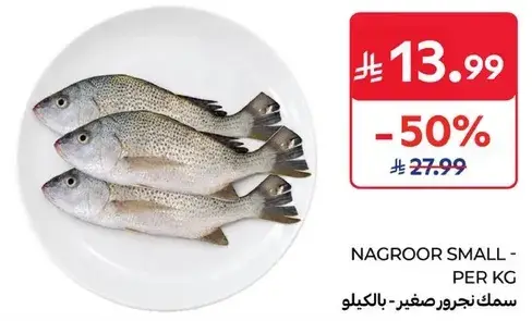 سمك نجروor صغير - بالكيلو
