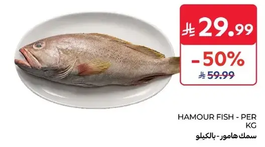 سمك هامور - بالكيلو