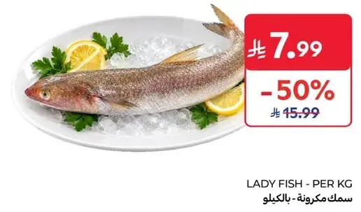 سمك مكرونه - بالكيلو