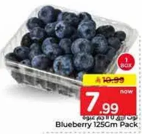 Blueberry 125 Gm Pack