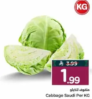 Cabbage Saudi Per KG