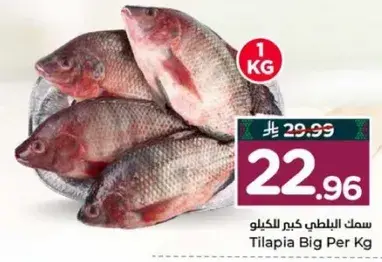 Tilapia Big Per Kg