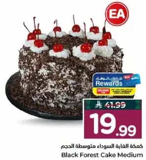 Black Forest Cake Medium