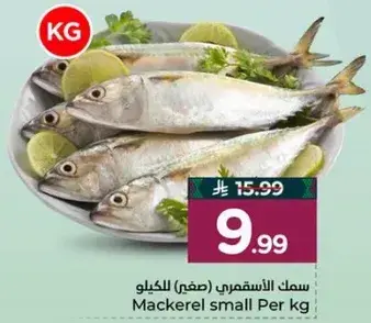 Mackerel small Per kg