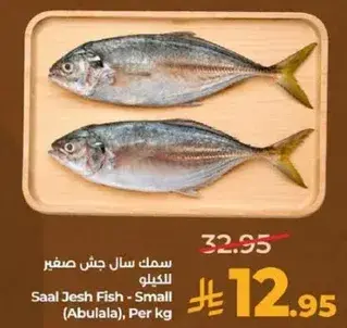 سمك سال جش صغير للكيلو