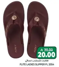 فلايت شينشب نسايي