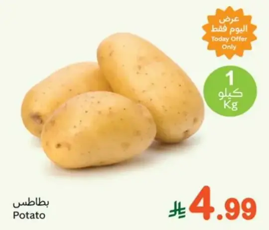 Potato