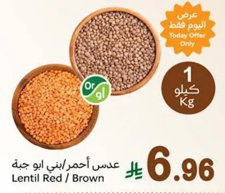 عدس احمر/بني ابو جبه