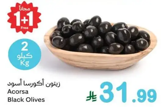 زيتون اكورسا اسود