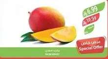 NICE MANGO