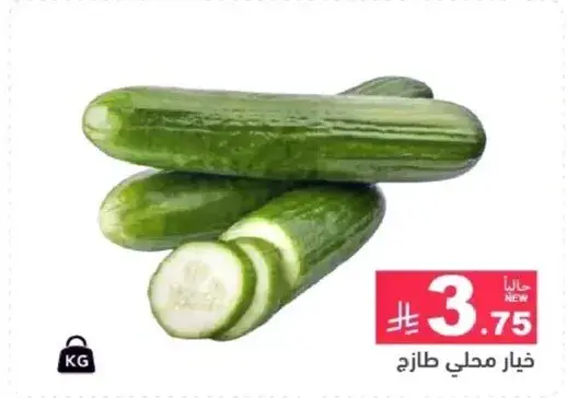 Fresh local cucumber