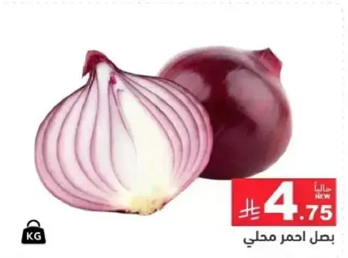 بصل احمر محلي