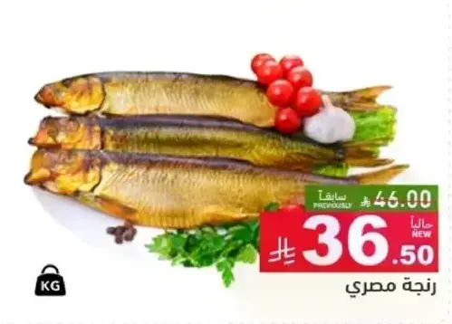Egyptian smoked fish.