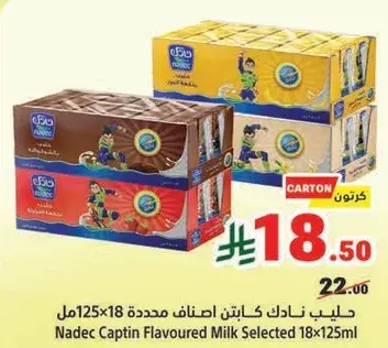 حليب نادك كابتن اصناف محدده 18x125مل
