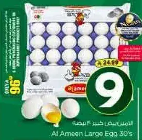 Al Ameen Large Eggs 30's