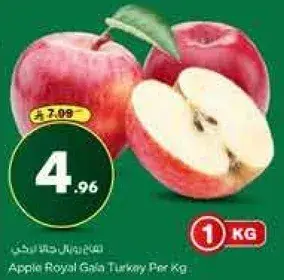 تفاح رويال غالا تركي