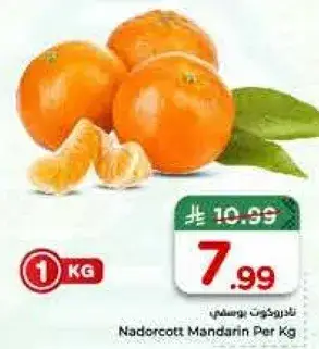 نادر كوت بوسماني