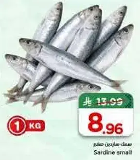 Sardine small