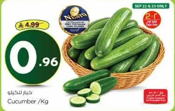 Cucumber / Kg