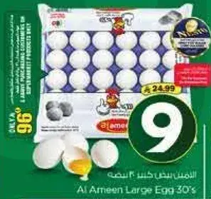 Al Ameen Large Egg 30's