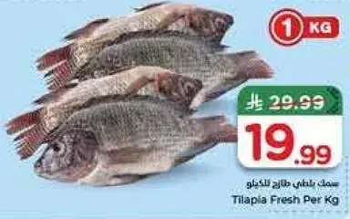Tilapia Fresh Per Kg