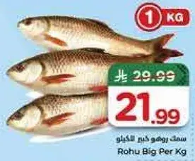 Rohu Big Per Kg