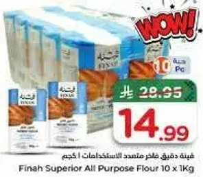 دقيق فاين 10 × 1 كيلو