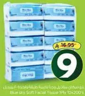 Blue Sky Soft Facial Tissue 200pcs