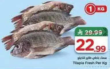 Tilapia Fresh Per Kg