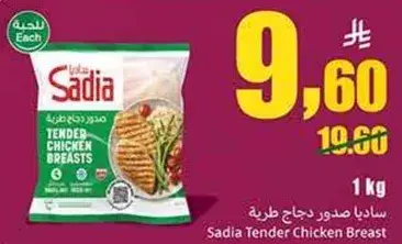 صدور دجاج طري ساديا