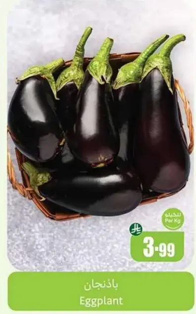 Eggplant