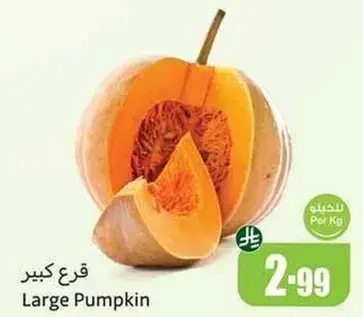 قرع كبير